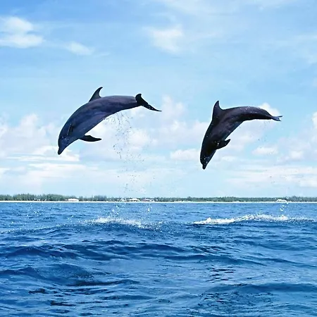 Live San Marcos Callao Lägenhet *